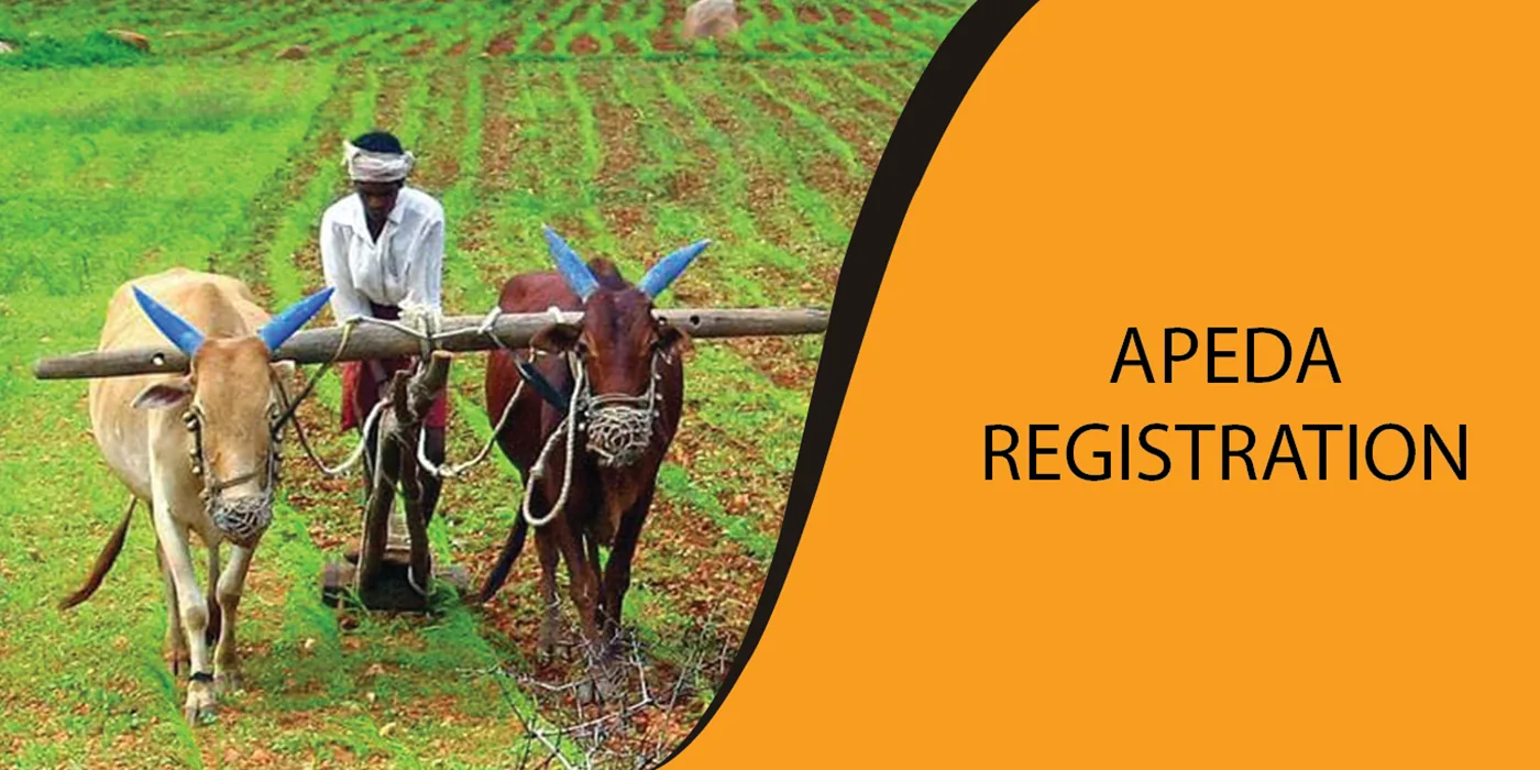APEDA Registration in Mumbai